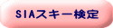 SIAスキー検定 